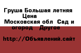 Груша Большая летняя › Цена ­ 1 200 - Московская обл. Сад и огород » Другое   